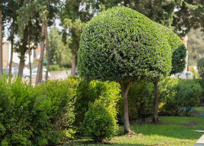 Apartahotel Silver Park